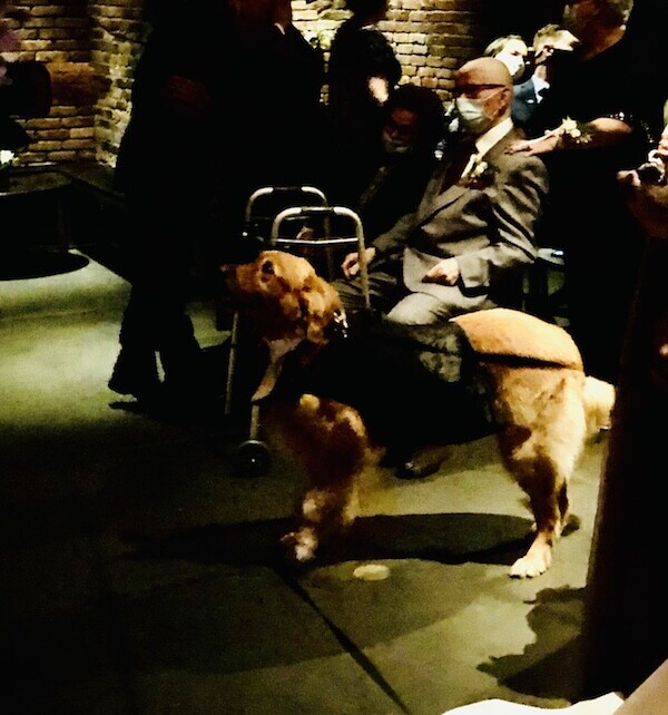 Micro Wedding Success at the Foundry Dog at wedding at the Foundry Long Island City